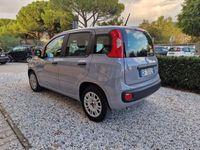 usata Fiat Panda 1.0 FireFly S&S Hybrid 70cv MT6 - OK Neopatentati