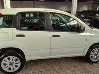 Usata Fiat Panda Easy 84 CV (61 kW) 2019 Bianco Berlina