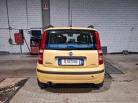 usata Fiat Panda 1.3 MJT 16V Dynamic