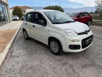 Usata Fiat Panda Easy 69 CV (50 kW) 2020 Bianco Furgone