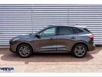 Usata Ford Kuga ST-Line X 225 CV (165 kW) 2023 Grigio SUV