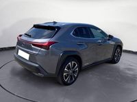 usata Lexus UX Hybrid Premium