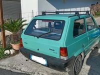 Usata Fiat Panda 39 CV (28 kW) 2000 Verde Utilitaria