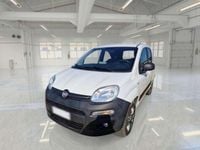 Usata Fiat Panda 4x4 80 CV (58 kW) 2016 Arancione Utilitaria