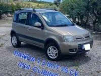 Usado Fiat Panda 4x4 69 CV (50 kW) 2011 Utilitario