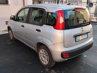 Usata Fiat Panda Easy 69 CV (50 kW) 2020 Grigio Utilitaria