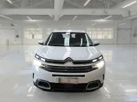 Usata Citroën C5 Aircross Business Class 130 CV (95 kW) 2020 Bianco SUV