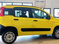 Usata Fiat Panda 4x4 Pop 80 CV (58 kW) 2018 Marrone Utilitaria