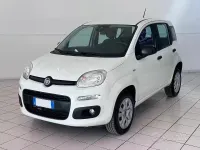 Usata Fiat Panda 70 CV (51 kW) 2018 Bianco Utilitaria