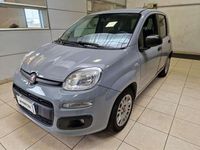 Usata Fiat Panda Easy 69 CV (50 kW) 2020 Grigio Utilitaria