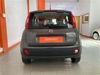 usata Fiat Panda panda1.0 FireFly S&S Hybrid