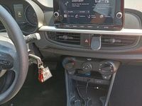 Usata Kia Picanto 2022 Bianco Utilitaria