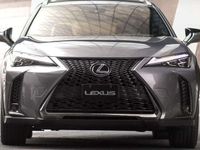 usata Lexus UX 250h Business