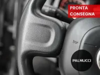 Usata Fiat Panda S 70 CV (51 kW) 2021 Grigio Utilitaria