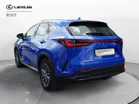 Usata Lexus NX350h Business Edition 243 CV (178 kW) 2023 Blu SUV