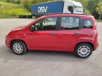 usata Fiat Panda Lounge 1.2 EasyPower