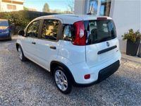 usata Fiat Panda Cross 1.0 FireFly S&S Hybrid City nuovo