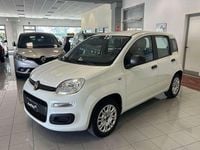 Usata Fiat Panda Easy 69 CV (50 kW) 2019 Bianco Utilitaria