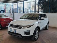Usata Land Rover Range Rover evoque Pure 150 CV (110 kW) 2016 Bianco SUV