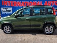 Usata Fiat Panda 4x4 S 95 CV (69 kW) 2015 Verde Utilitaria