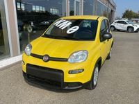 Usata Fiat Panda S 2024 Giallo(met.) Utilitaria