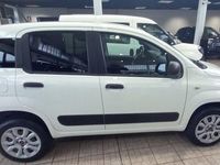 Usata Fiat Panda 4x4 Pop 86 CV (63 kW) 2020 Bianco Utilitaria