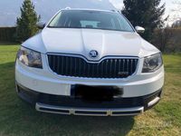 usata Skoda Octavia Scout 4x4 - 2016