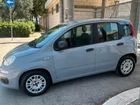 Usata Fiat Panda Easy 95 CV (69 kW) 2018 Grigio Utilitaria
