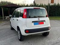 Usata Fiat Panda 84 CV (61 kW) 2020 Bianco Utilitaria