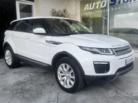 Usata Land Rover Range Rover evoque SE 2018 Bianco SUV