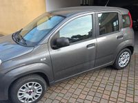 Usata Fiat Panda Pop 69 CV (50 kW) 2019 Grigio Utilitaria