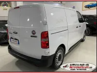 Usata Fiat Scudo Business 120 CV (88 kW) 2023 Bianco Furgone