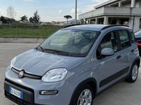Usata Fiat Panda Cross Cross 70 CV (51 kW) 2022 Grigio Utilitaria