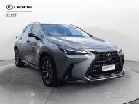 Usata Lexus NX350h Business Edition 243 CV (178 kW) 2023 Grigio SUV