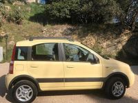 Usata Fiat Panda 4x4 69 CV (50 kW) 2006 Utilitaria