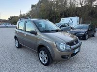 Usata Fiat Panda Cross Cross 69 CV (50 kW) 2008 Verde Utilitaria