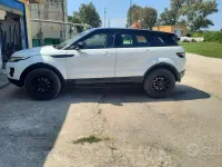 Usata Land Rover Range Rover evoque 150 CV (110 kW) 2015 Bianco Station wagon