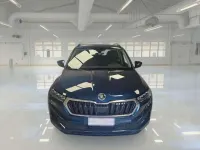 Usata Skoda Karoq Executive 116 CV (85 kW) 2023 Blu SUV