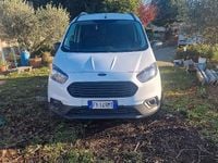 Usata Ford Transit 100 CV (73 kW) 2019 Bianco Monovolume