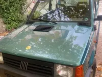 Usata Fiat Panda 4x4 Trekking 54 CV (39 kW) 2002 Utilitaria