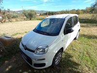 Usata Fiat Panda 85 CV (62 kW) 2018 Bianco Utilitaria