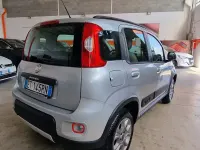 Usata Fiat Panda 4x4 S 75 CV (55 kW) 2014 Grigio Utilitaria