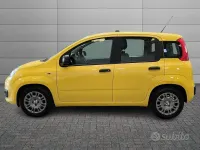 Usata Fiat Panda Pop 65 CV (47 kW) 2026 Giallo Utilitaria