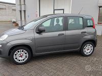Usata Fiat Panda Easy 69 CV (50 kW) 2020 Grigio Utilitaria