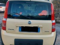 Usata Fiat Panda 4x4 2004 Giallo Utilitaria