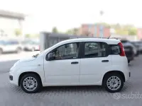 Usata Fiat Panda Easy 69 CV (50 kW) 2016 Bianco Utilitaria