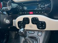 Usata Fiat Panda 95 CV (69 kW) 2016 Nero Utilitaria