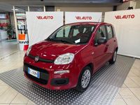 Usata Fiat Panda Easy 69 CV (50 kW) 2016 Rosso Utilitaria