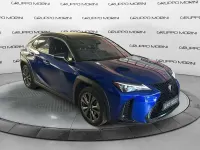 Usata Lexus UX 199 CV (146 kW) 2024 Other SUV