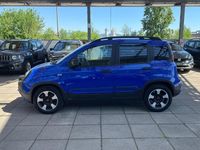 Usata Fiat Panda Cross Cross 69 CV (50 kW) 2019 Blu Utilitaria